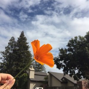 Meet your Posher, Denise